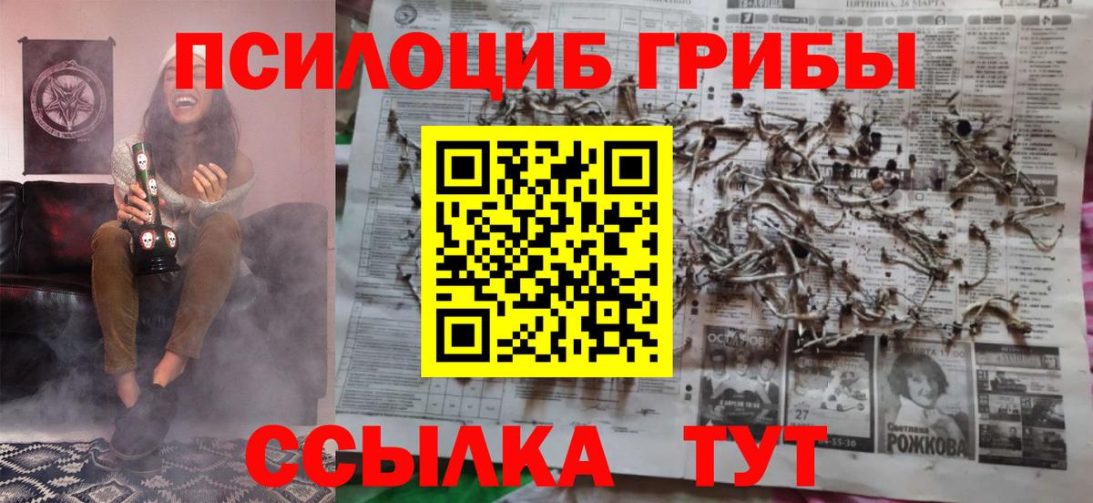 Дербент  Галлюциногенные грибы мицелий  Вход с VPN 
